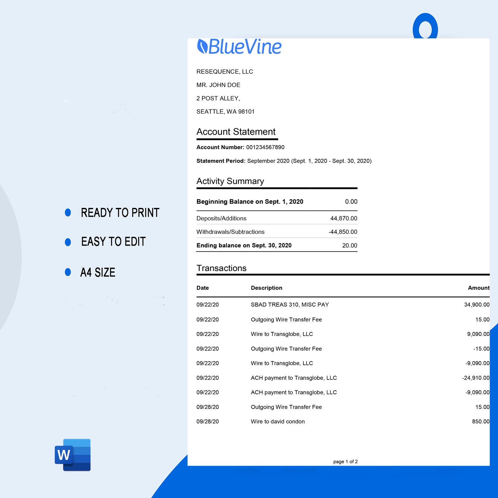 Bluevine Bank Statement Template